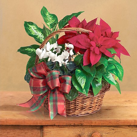 Holiday Homecoming Basket